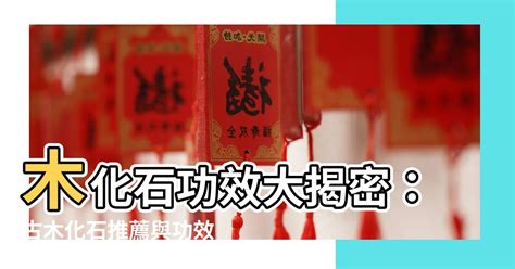 木化石功效|木化石片功效：舒緩疲倦、穩定情緒、增強生命力 